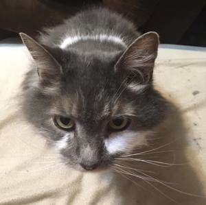 Meet your Posher, Breagh